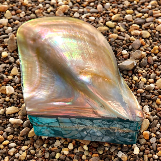 Scatolina porta gioie vintage con valva di ostrica perlifera