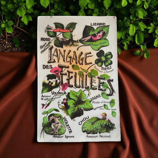 Collezione 11 cartoline linguaggio dei fiori e delle foglie, anni ‘20-‘40