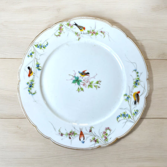 Piatto Ginori con decoro uccellini ante 1896