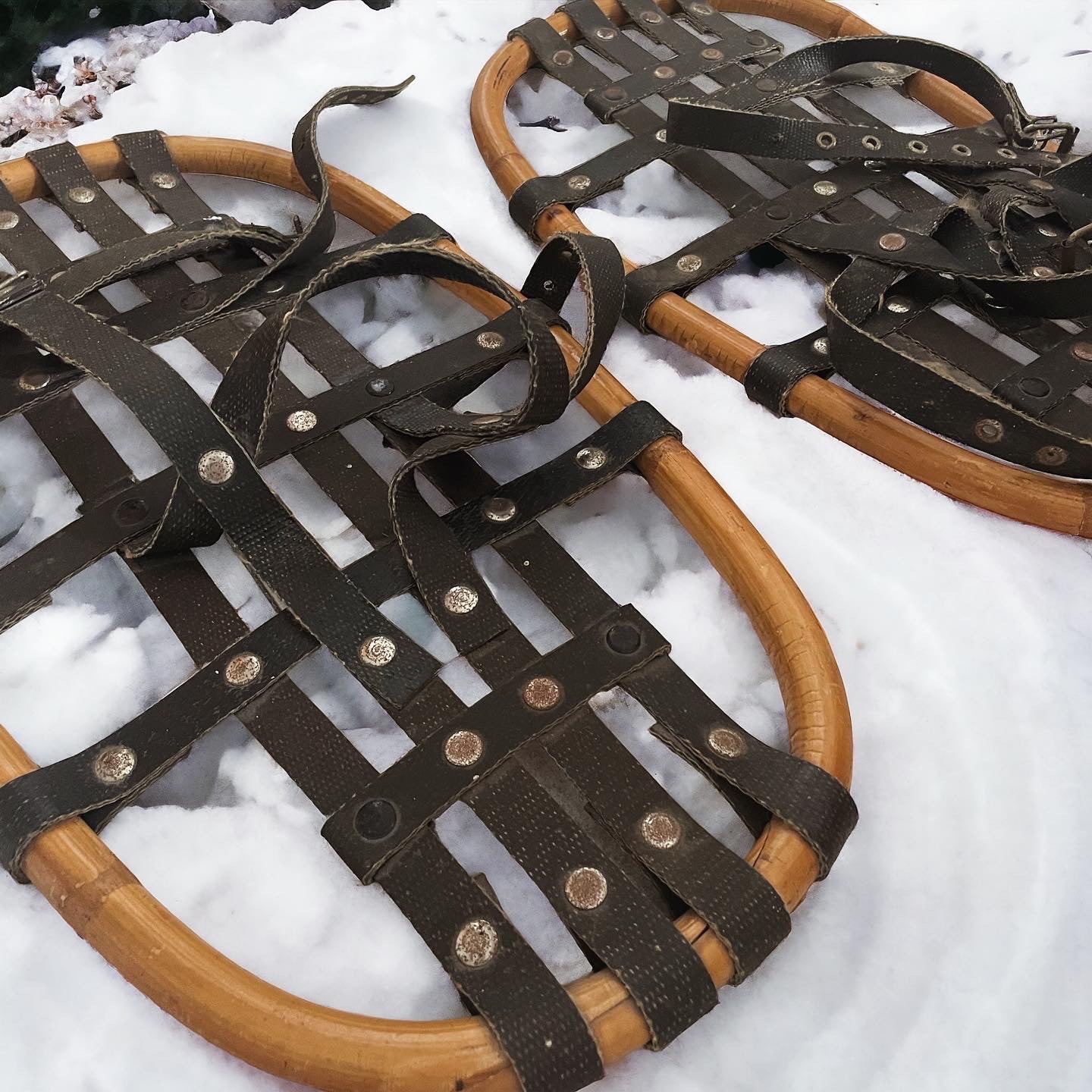 Snowshoes 60's