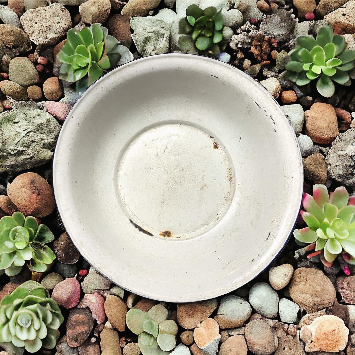 Antique enameled basin from the early 1900s