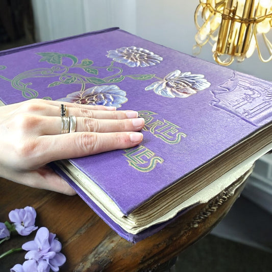 Album vuoto Art Nouveau viola con peonie, fine ‘800 - primo ‘900