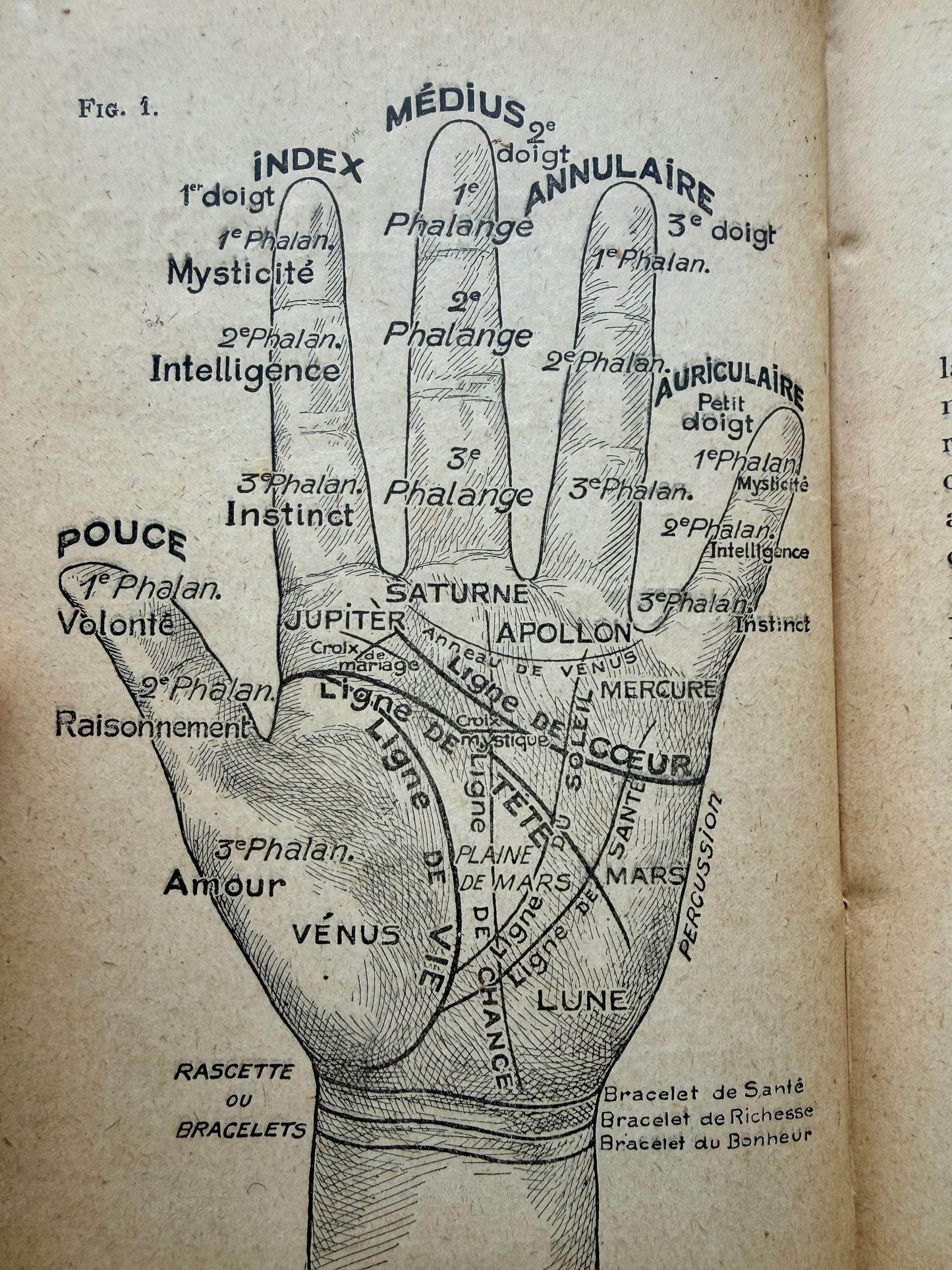 Libro antico di chiromanzia “Que qu’on lit dans la maine”, prima ed. 1906