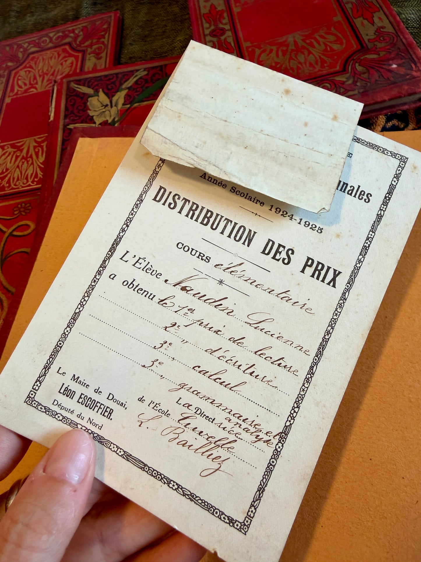Collezioni libri di Lucienne, liberty anni ‘20