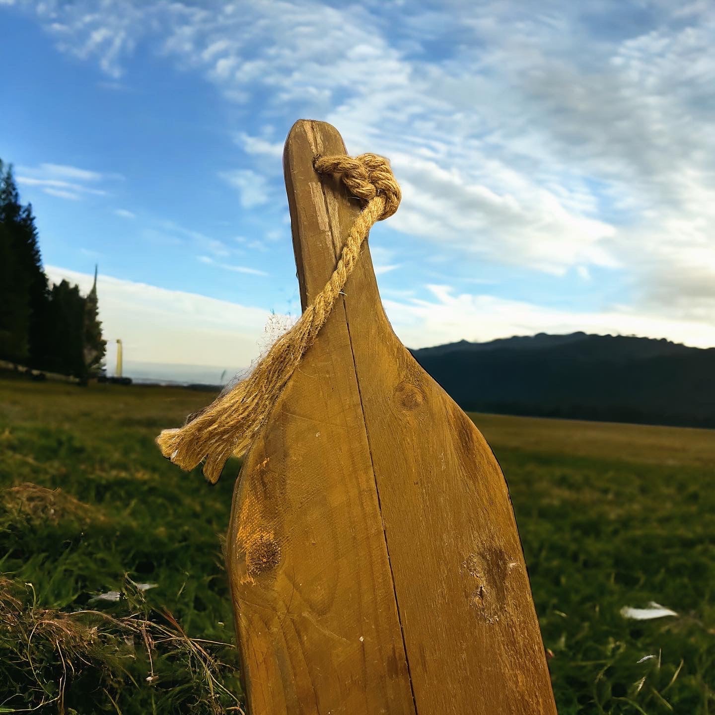 Vecchio tagliere da cucina