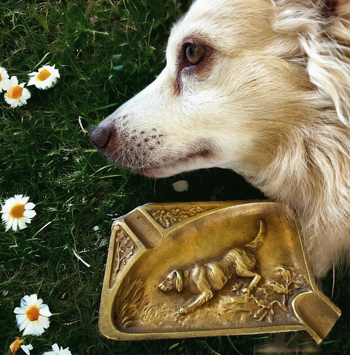 Hunting dog bronze ashtray