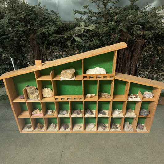 Bacheca con minerali e fossili, collezione cabinet des curiosites anni ‘80