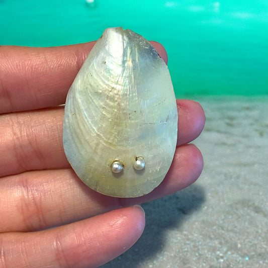 Coppia di fibbie da scarpa in madreperla ed argento, fine ‘800 - primo ‘900