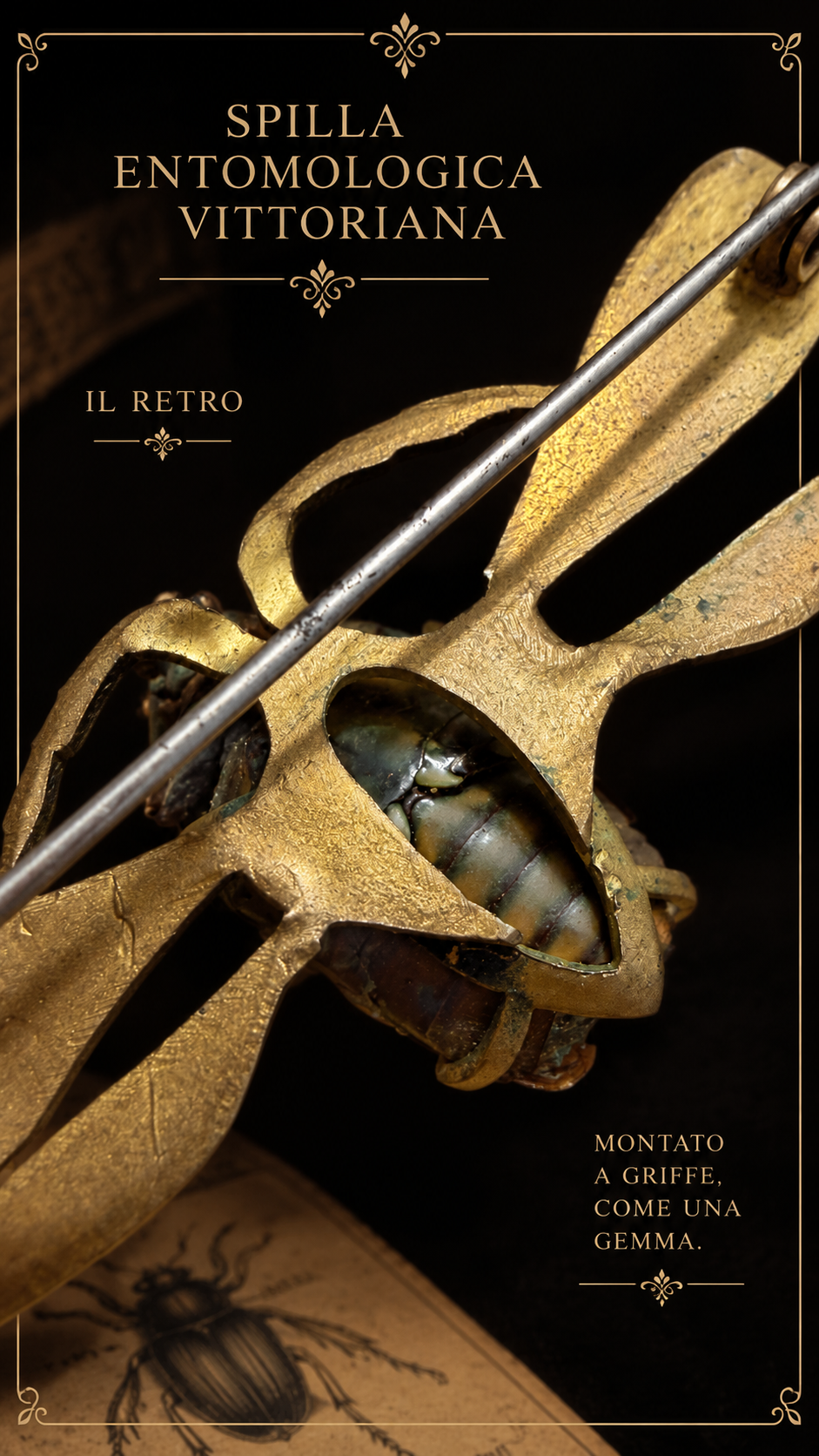 Spilla entomologica vittoriana con vero coleottero, 1890 circa