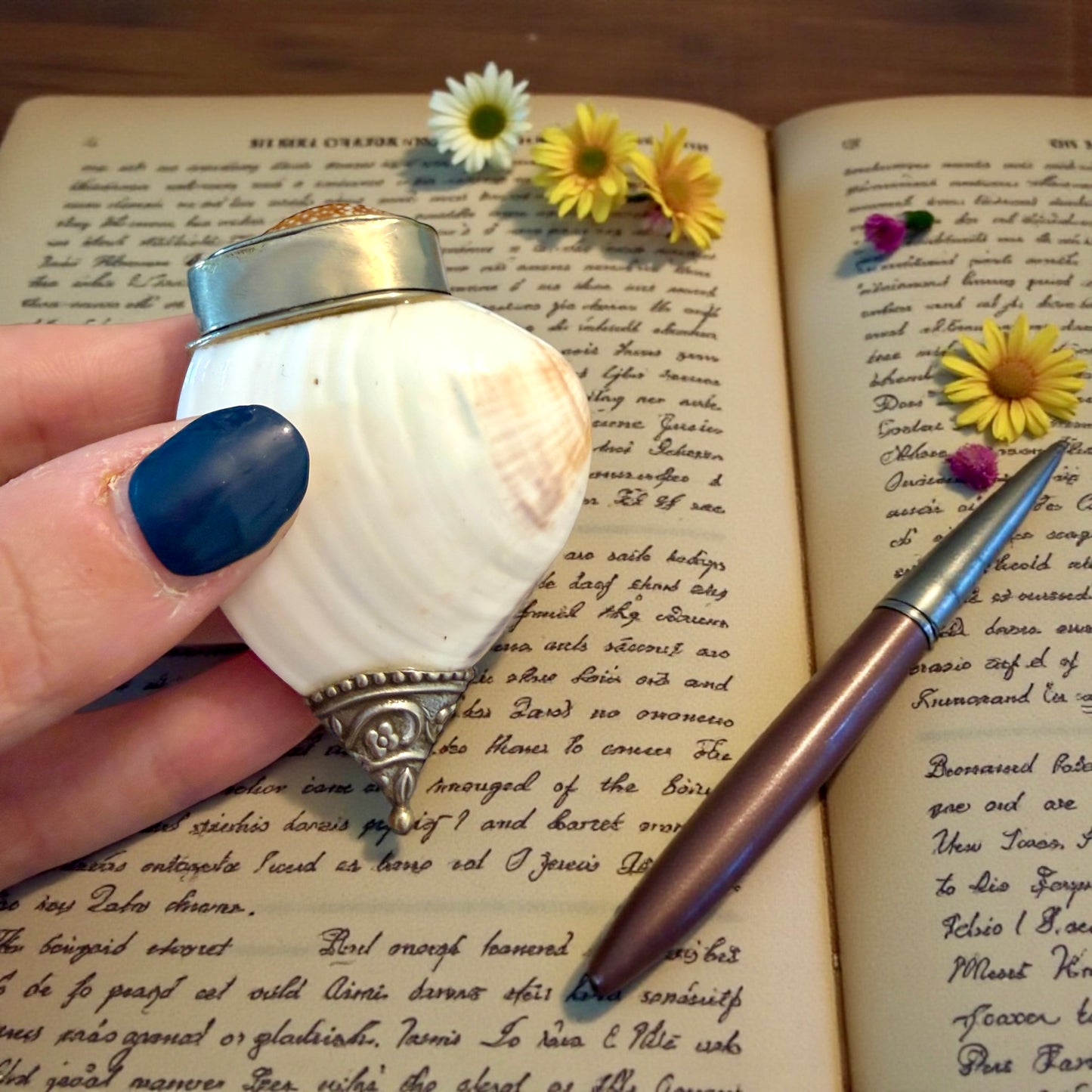 Tabacchiera da fiuto ricavata da valve di conchiglie, ca meta ‘900