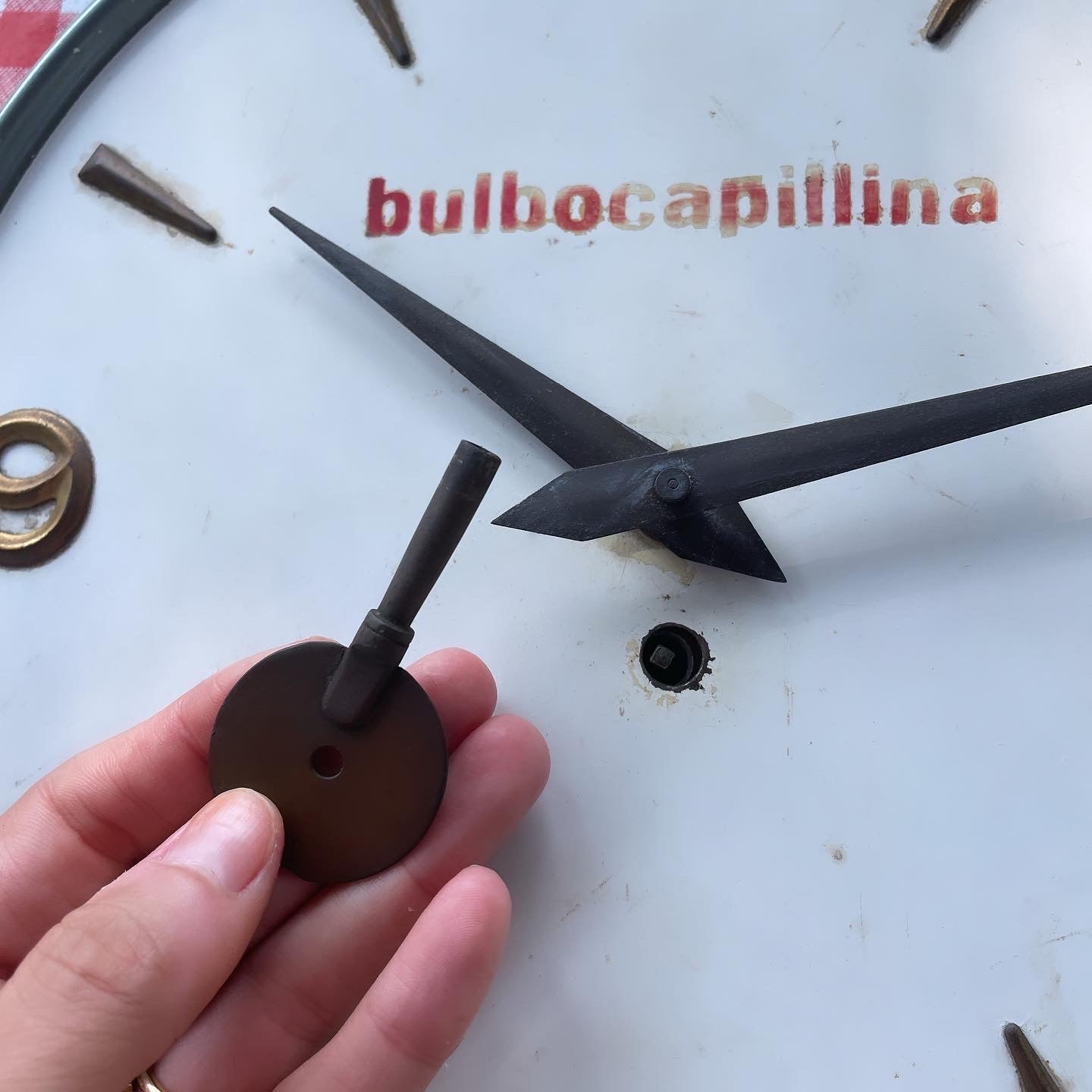 Orologio anni 40 Bulbocapillina