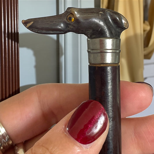 Manico da ombrellino vittoriano con scultura in corno a guisa di levriero