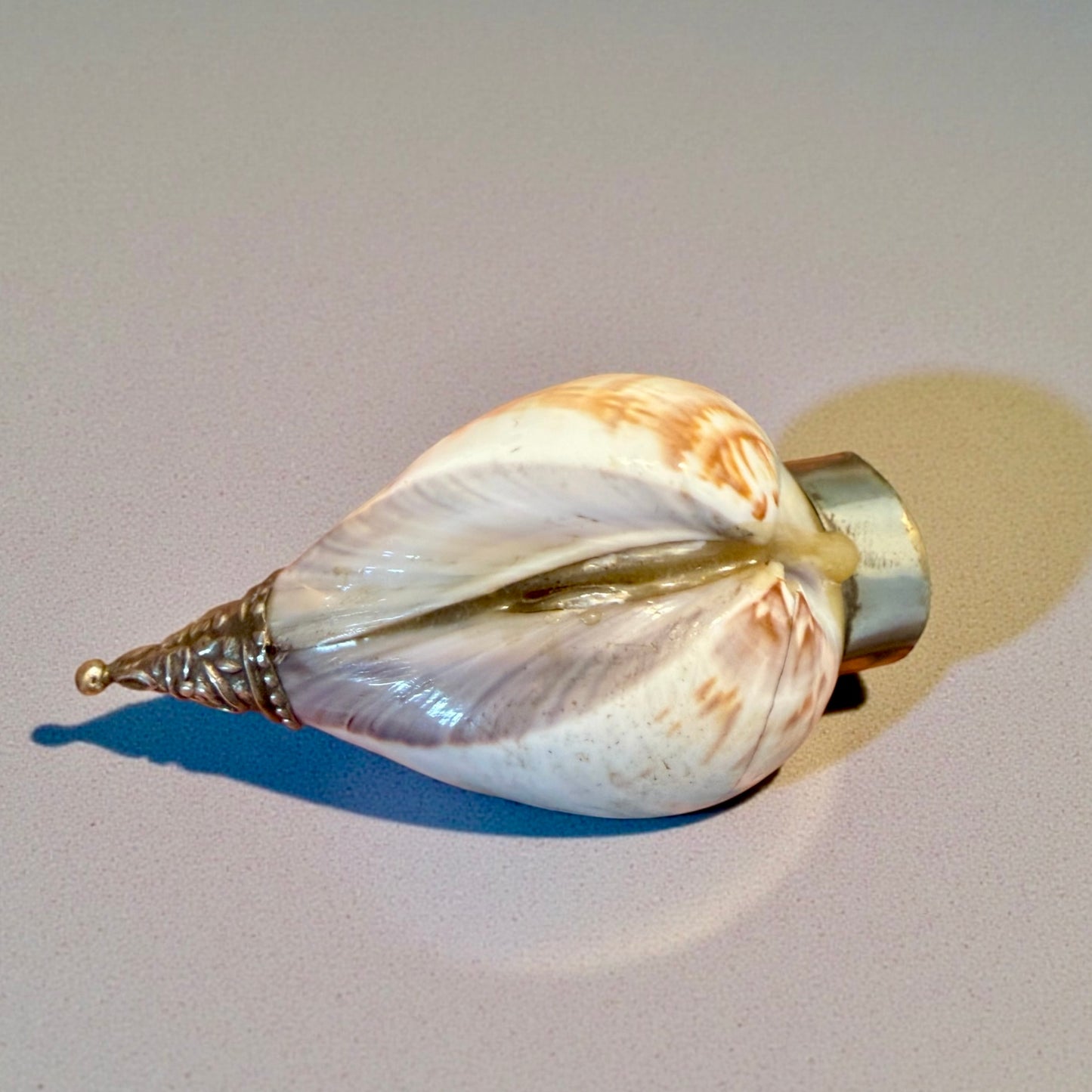 Tabacchiera da fiuto ricavata da valve di conchiglie, ca meta ‘900