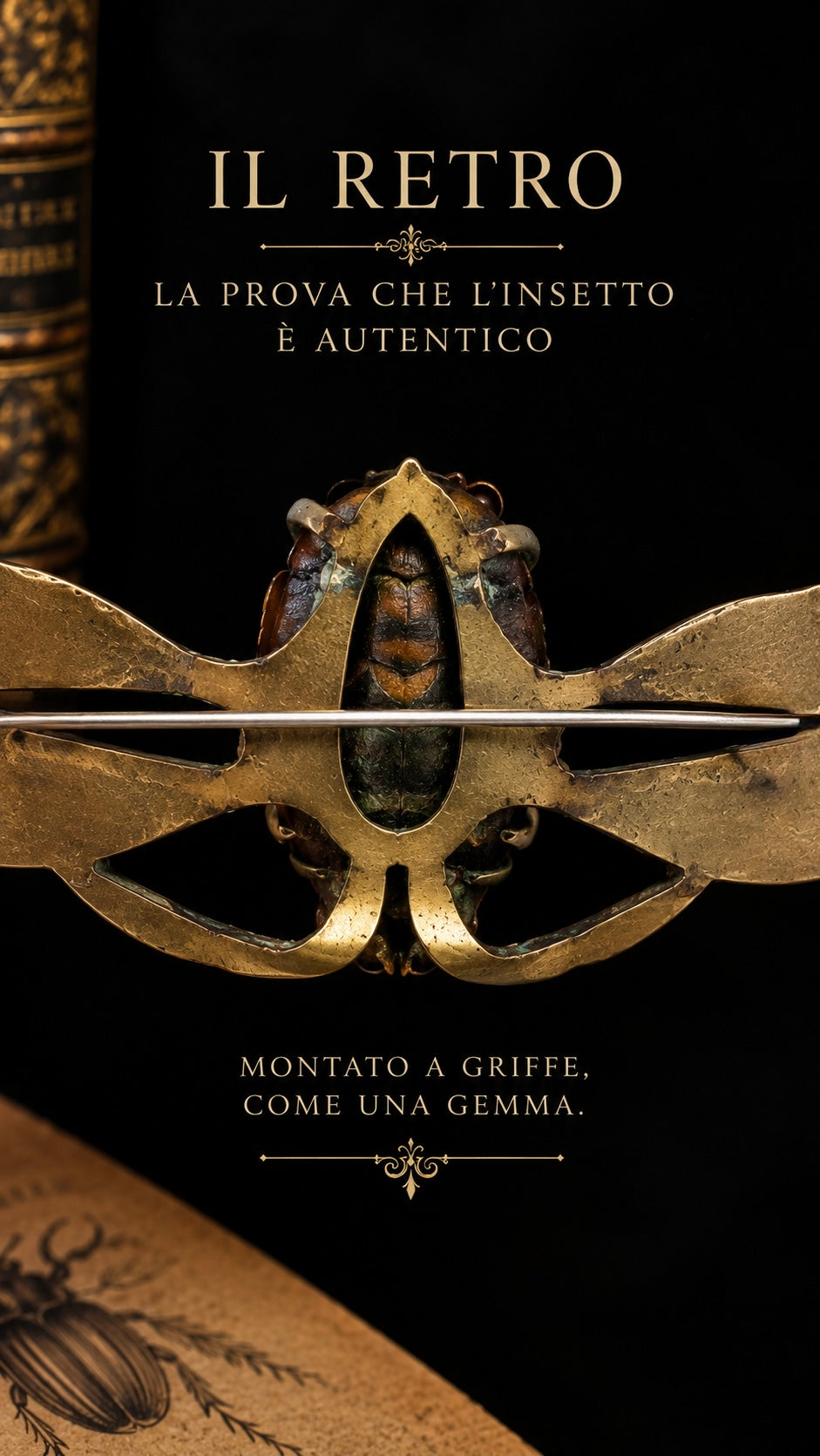 Spilla entomologica vittoriana con vero coleottero, 1890 circa