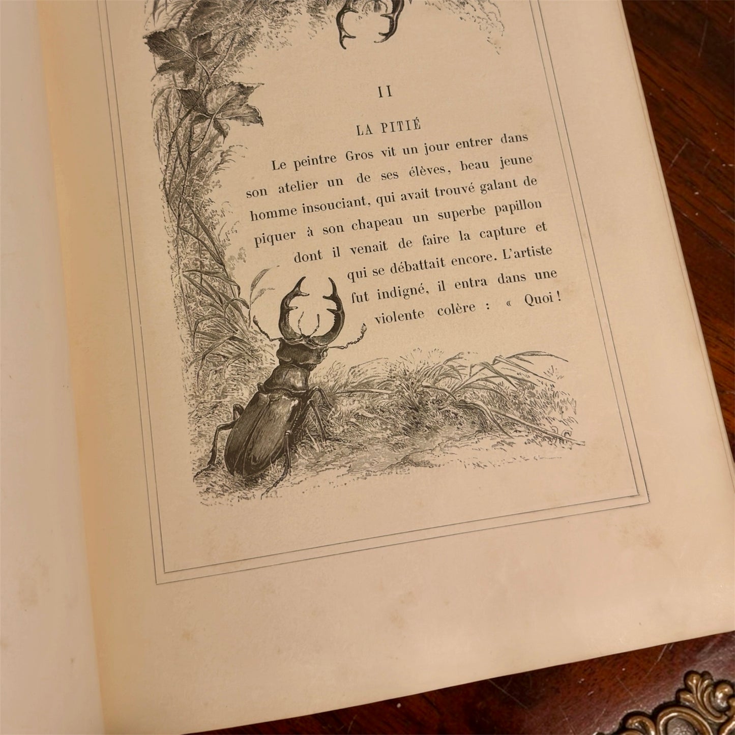 L’Insecte di Michelet, 1876, illustrato da Giacomelli con tavole a piena pagina e margini
