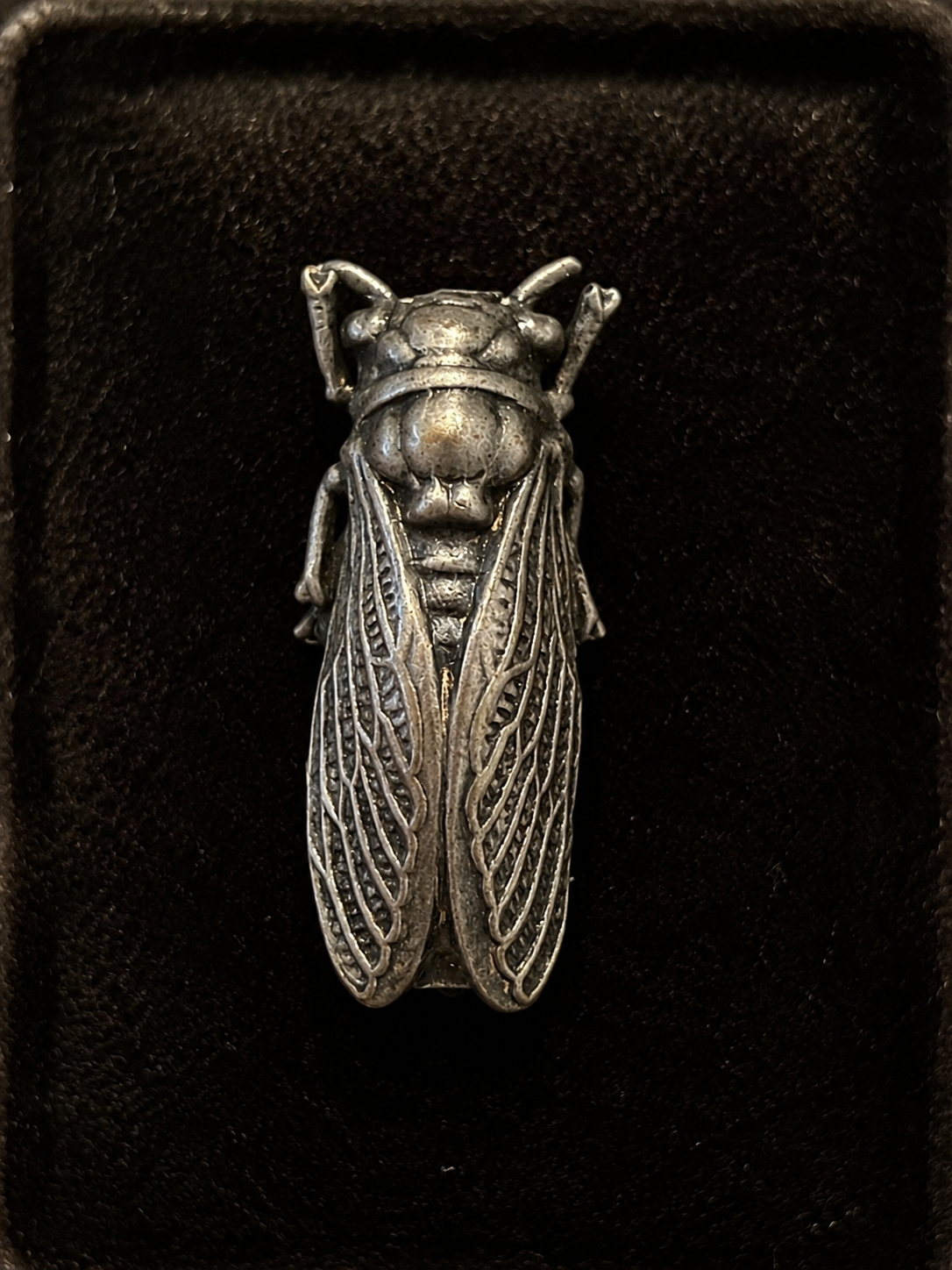 Spilla gioiello liberty cicala placcata argento