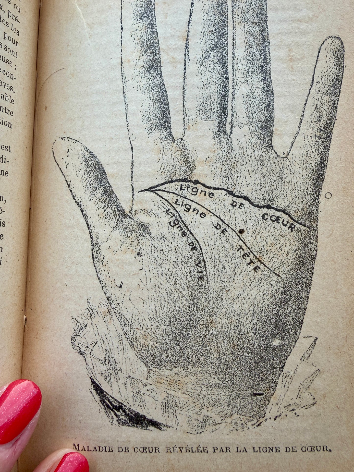 Libro antico di chiromanzia “Que qu’on lit dans la maine”, prima ed. 1906