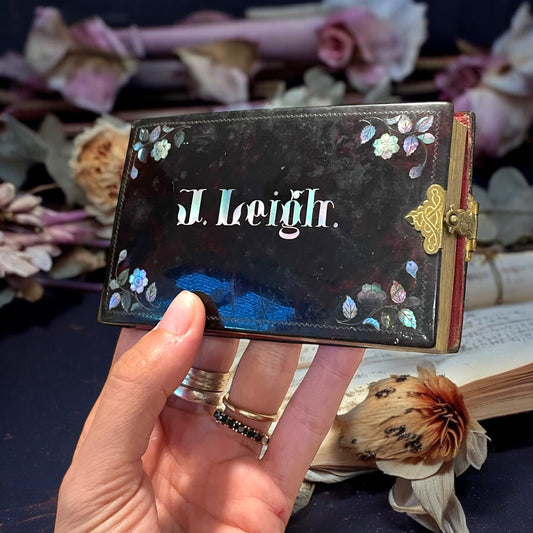 Libro d’amicizia oggetto sentimentale ottocentesco, taccuino madreperla