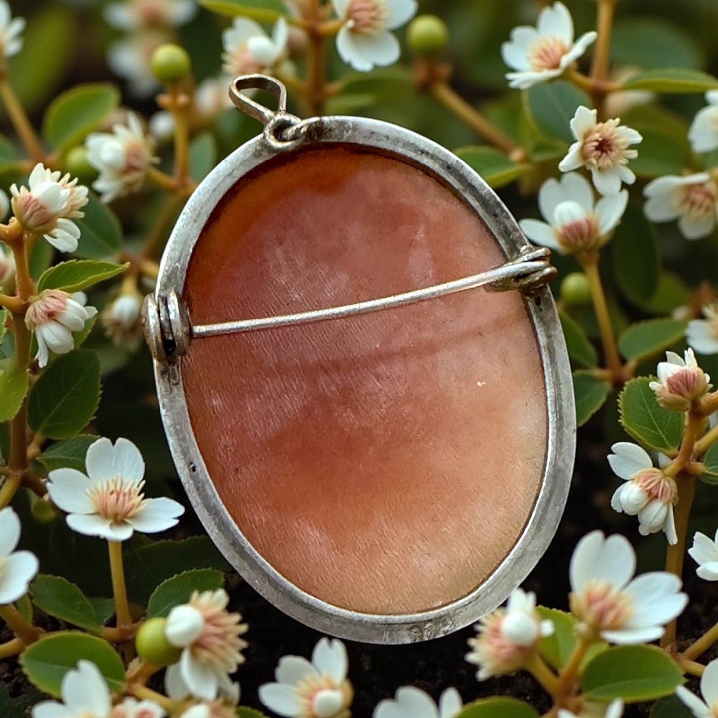 Cammeo su conchiglia montato in argento 800, area Torre del Greco