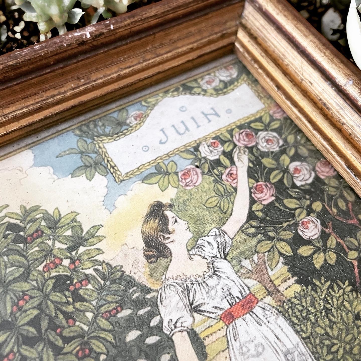 Collezione quadri mesi Art Nouveau