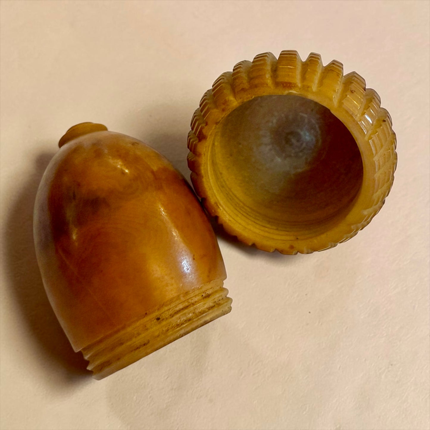 Porta ditale in tagua a guisa di ghianda, fine ‘800 primo ‘900