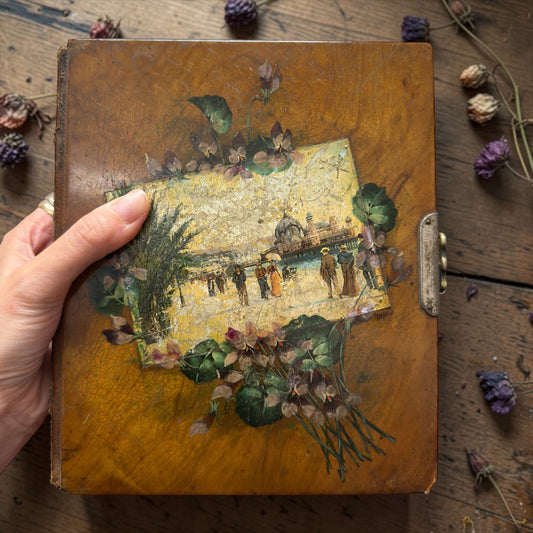 Antico album 1880-1900 completo con 28 fotografie d’epoca, dedica, data e copertine dipinte