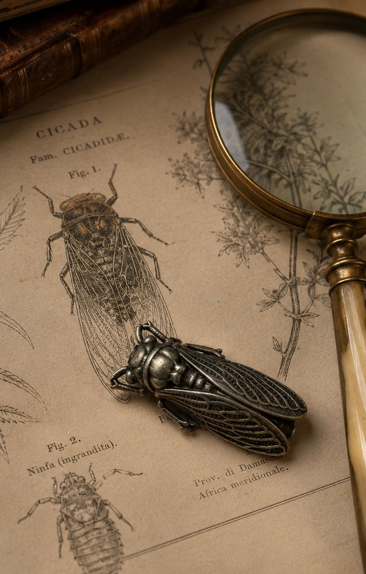 Spilla gioiello liberty cicala placcata argento