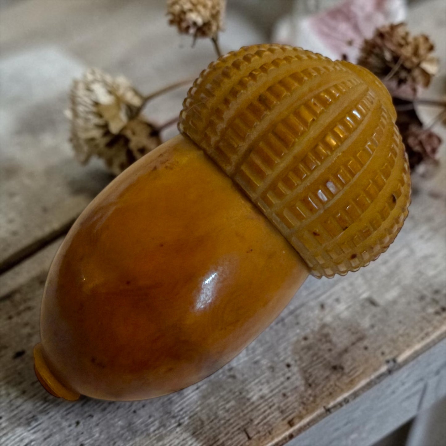 Porta ditale in tagua a guisa di ghianda, fine ‘800 primo ‘900