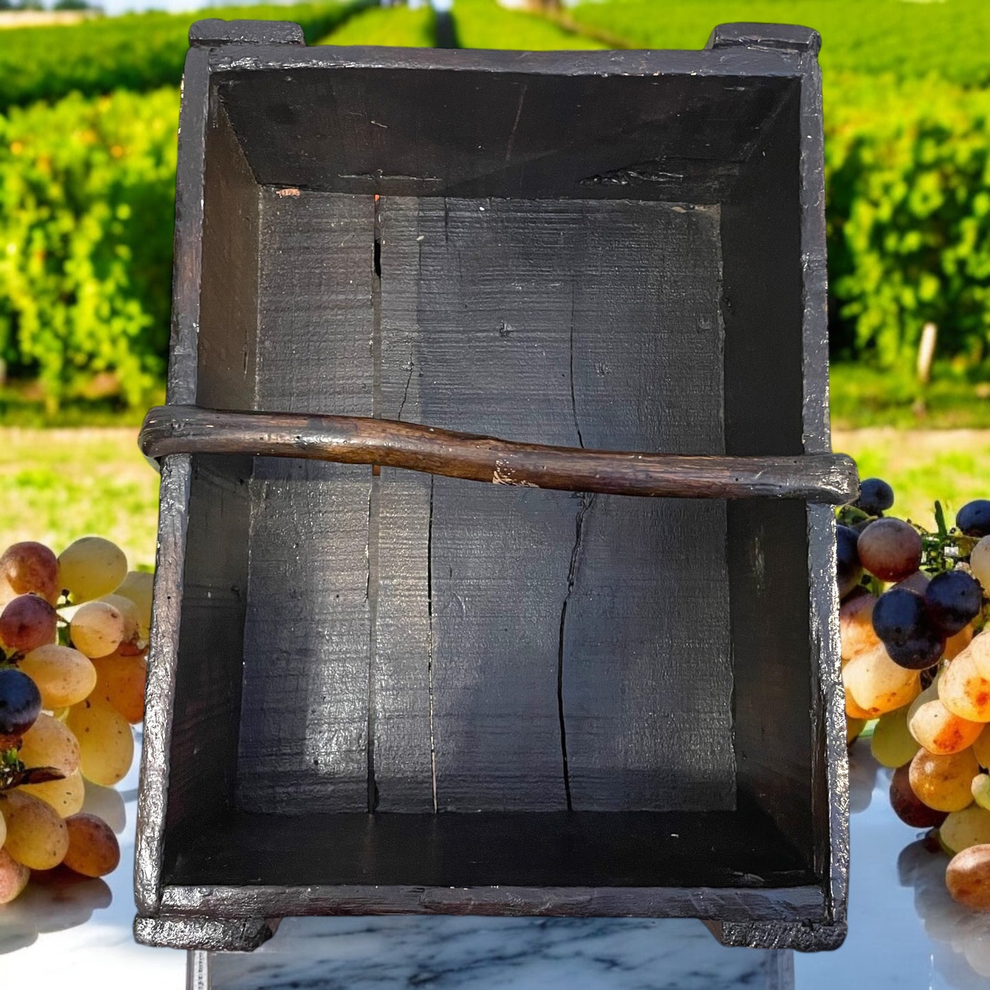 Paniere da vendemmia in legno antico e tralcio incurvato