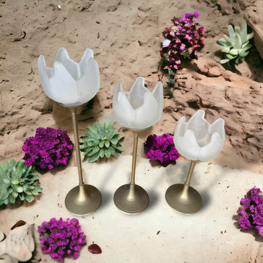 Candelabri tulipani