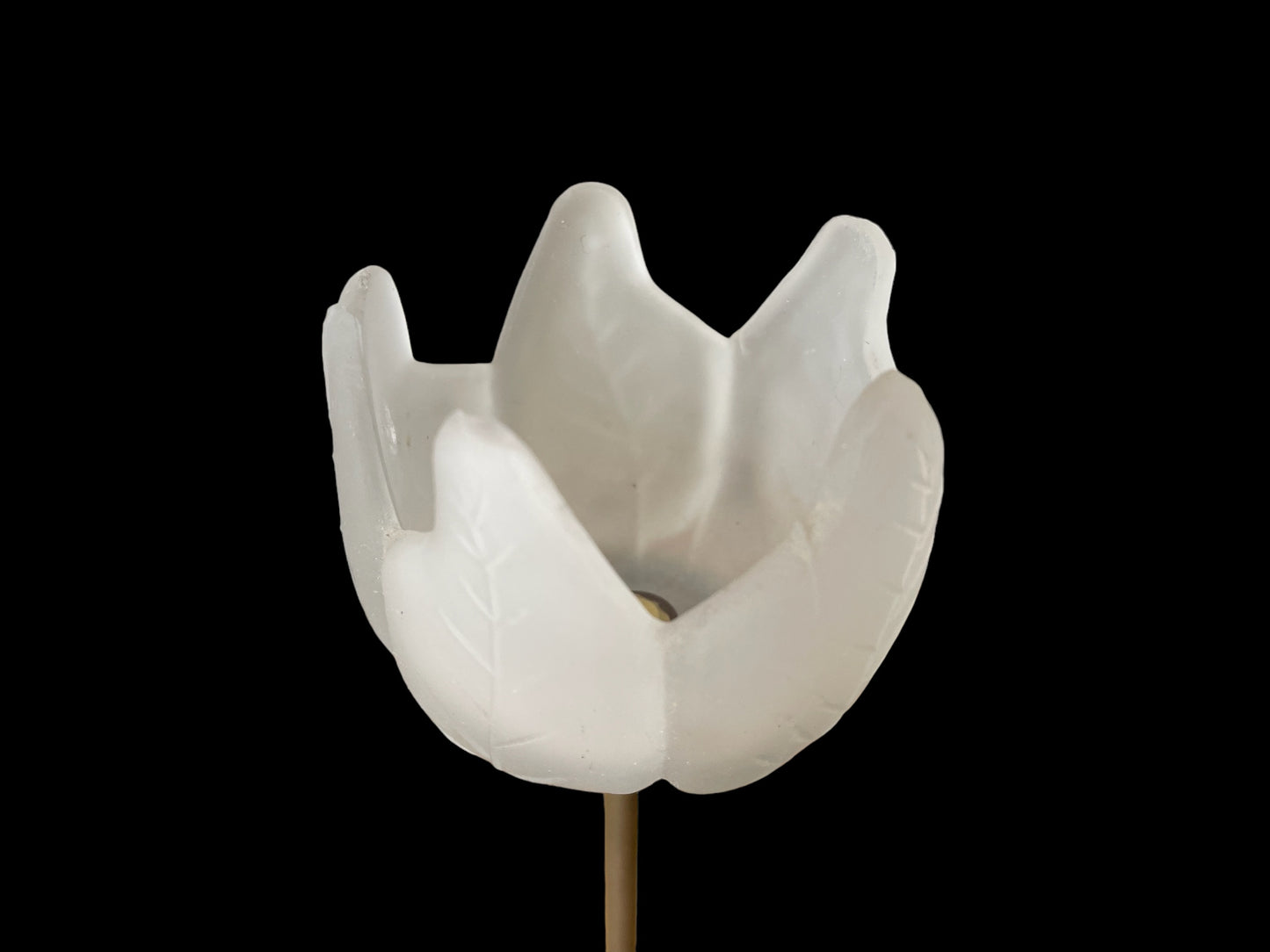 Candelabri tulipani