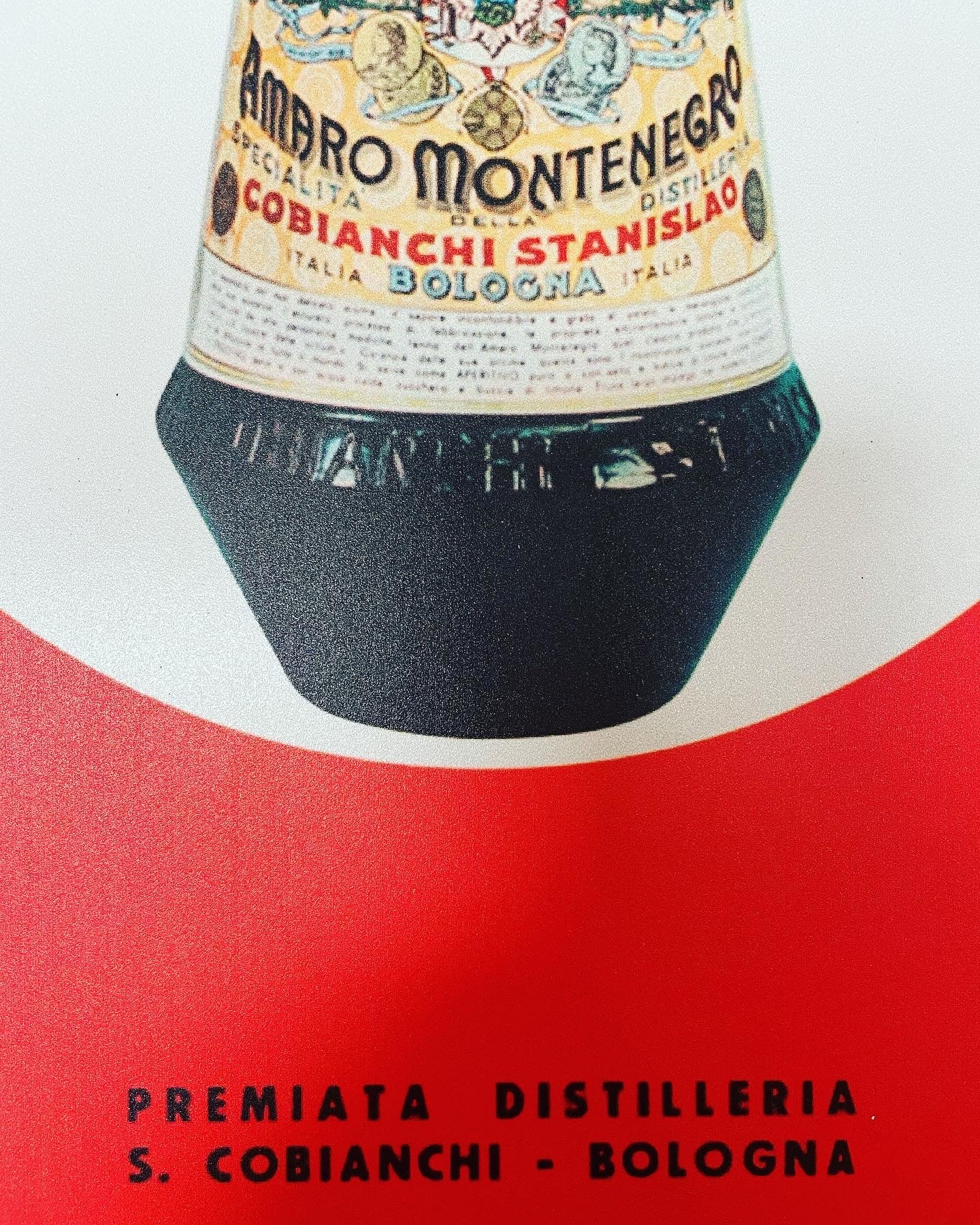 Amaro Montenegro