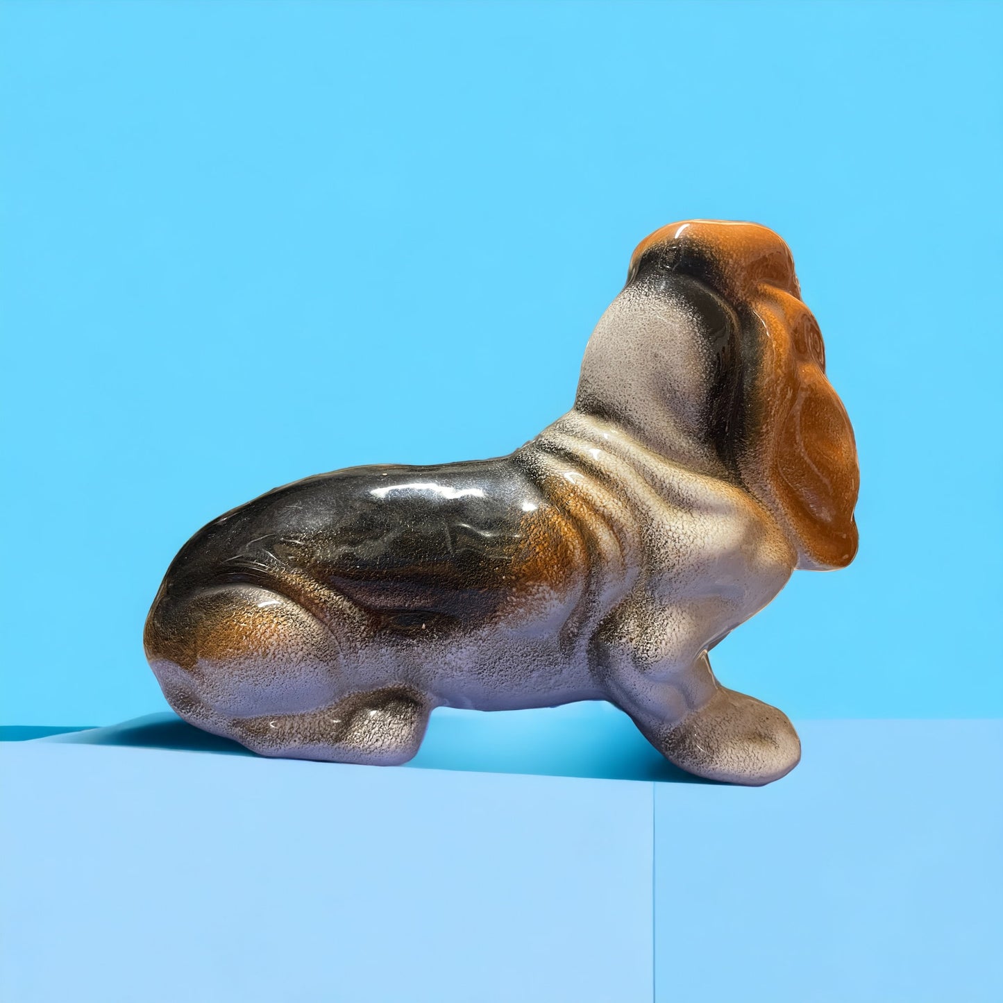 Dachshund dog 70s