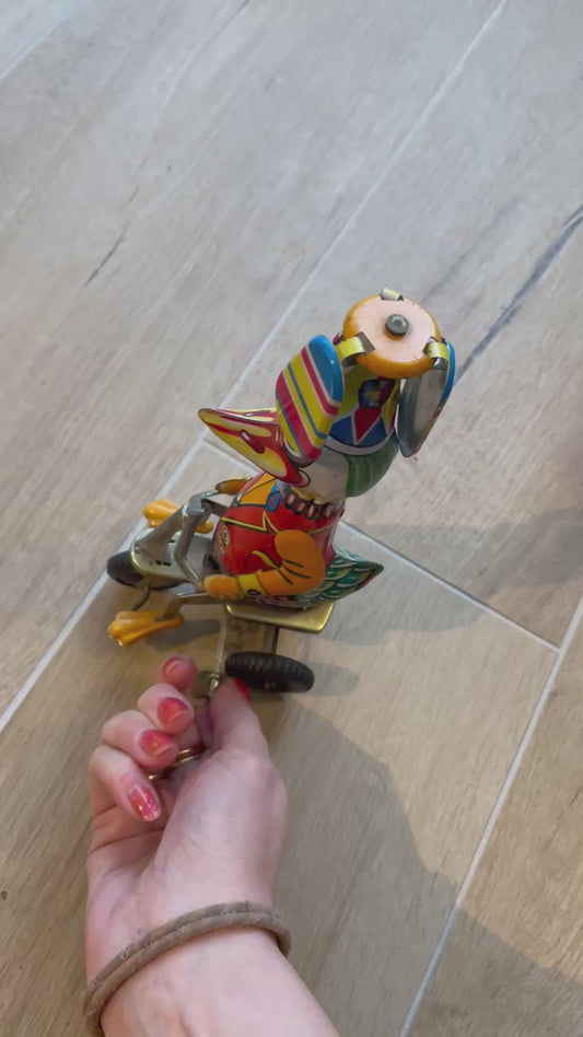 Papera in latta tin toy che pedala gioco stile vintage
