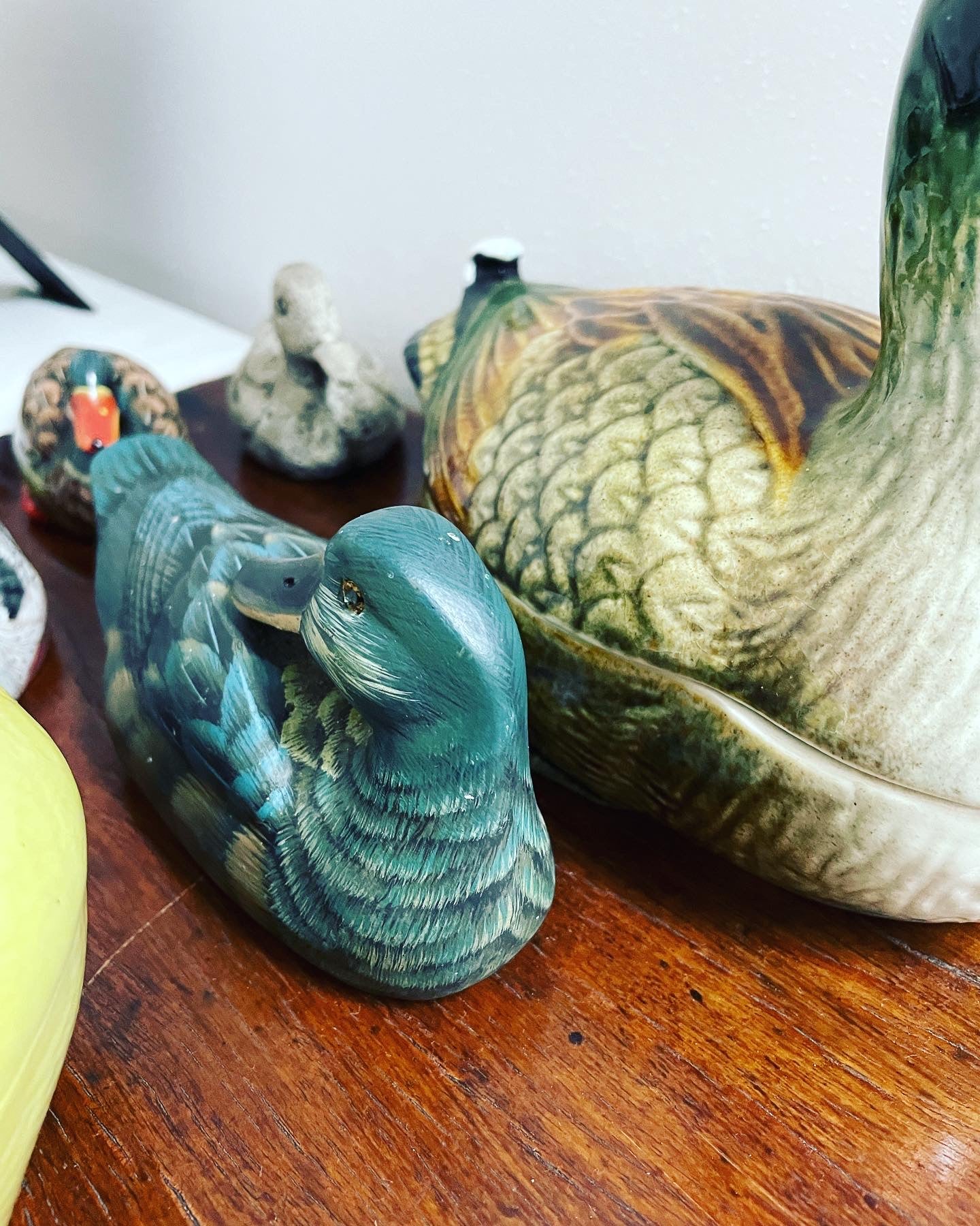 Duck collection