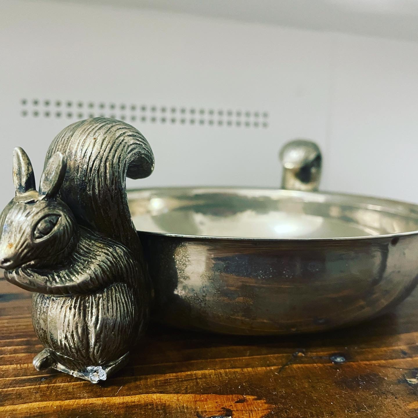 Squirrel bowl