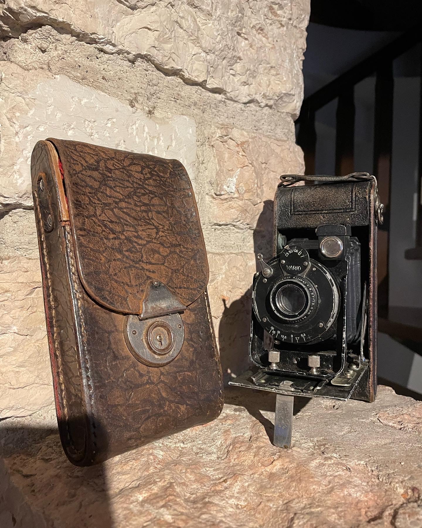 Antique bellows camera