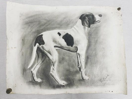 Dog drawing