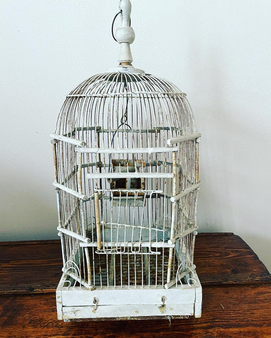 Aviary cage