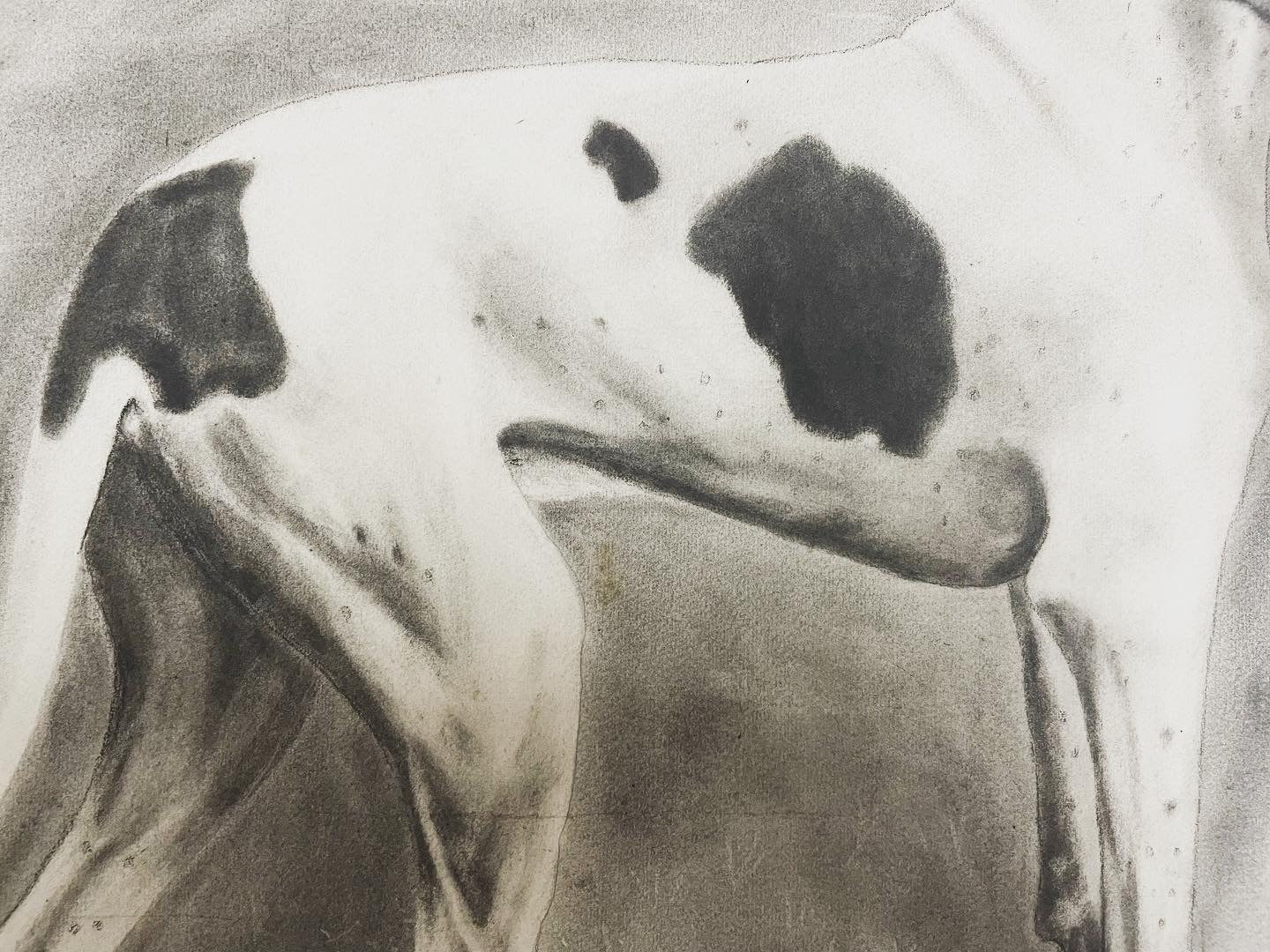 Dog drawing