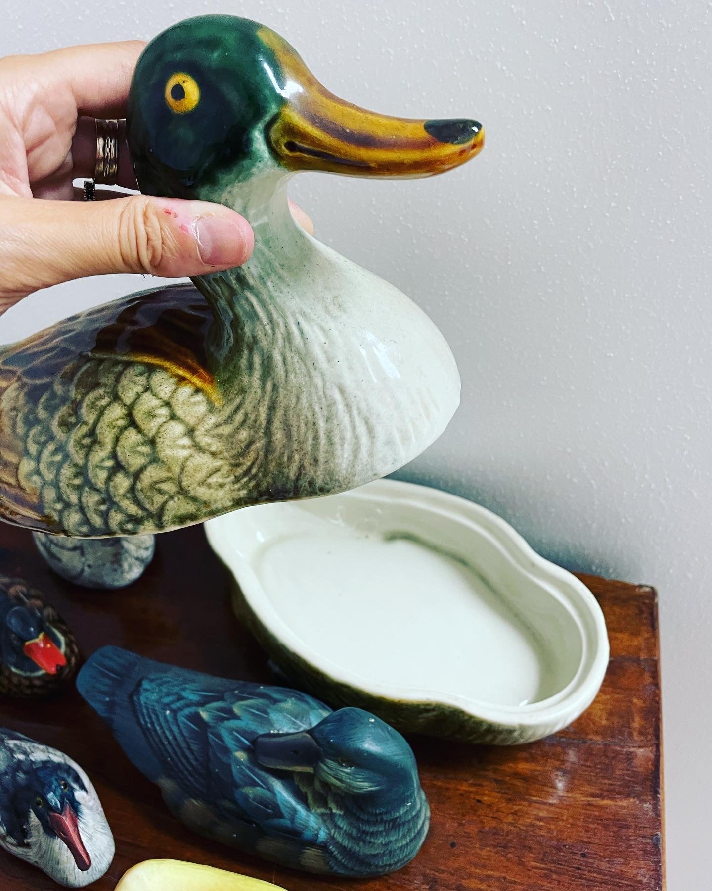 Duck collection