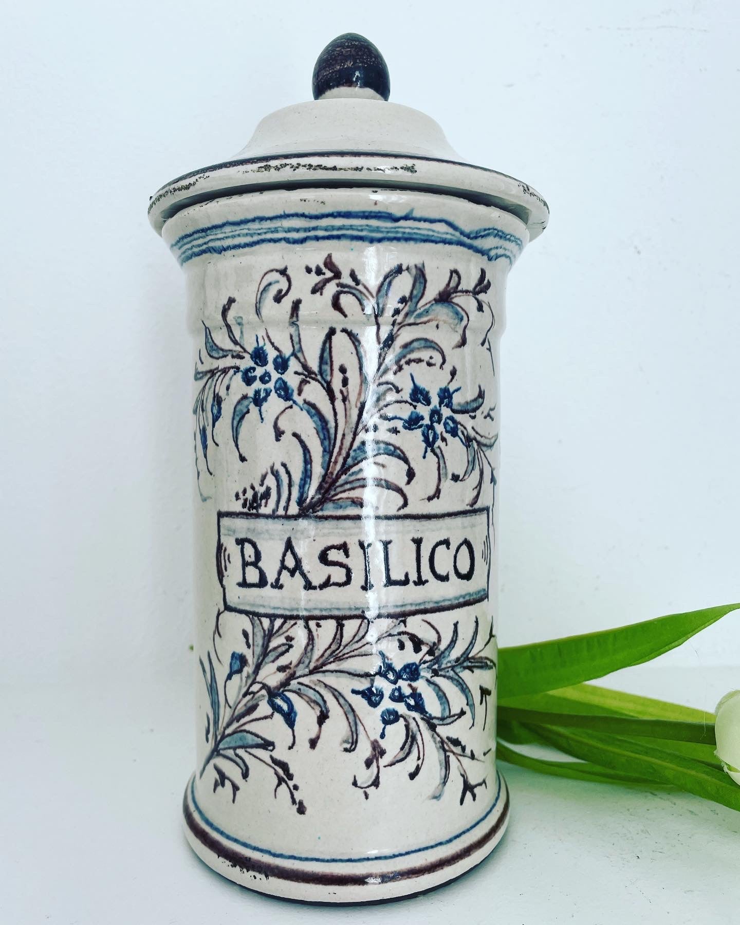 Albarello basil