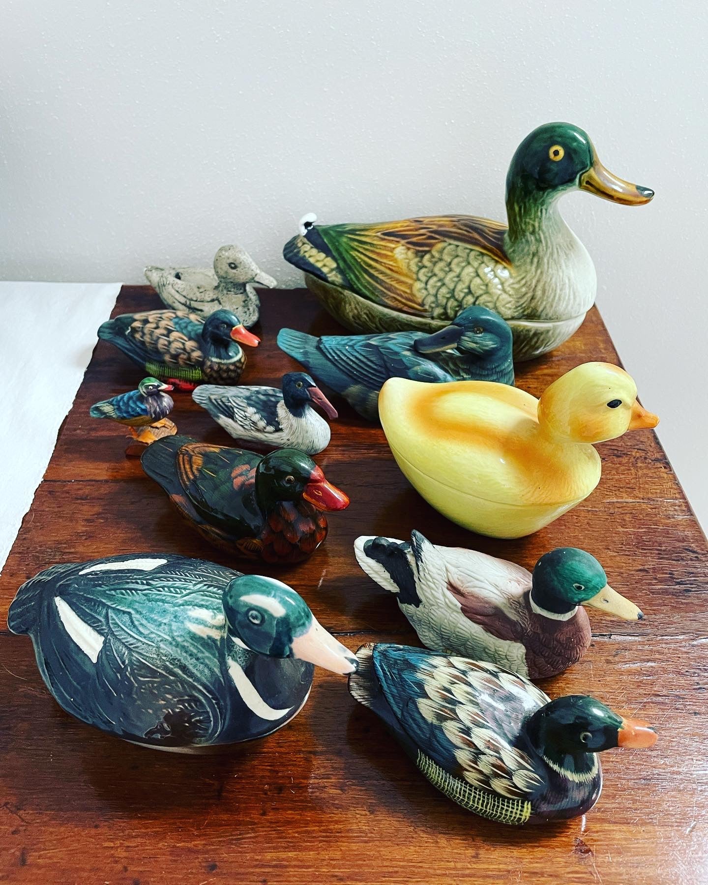 Duck collection