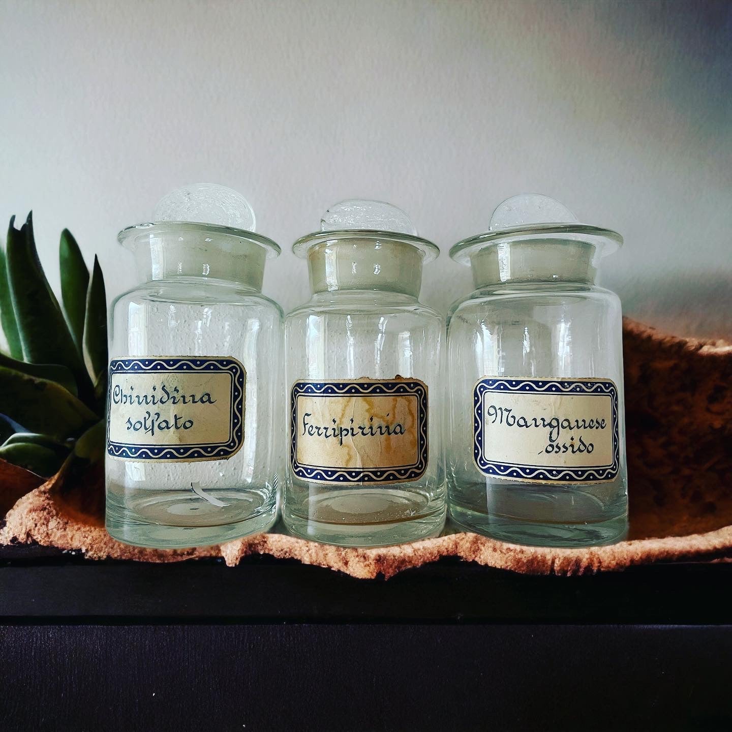 Tris pharmacy jars