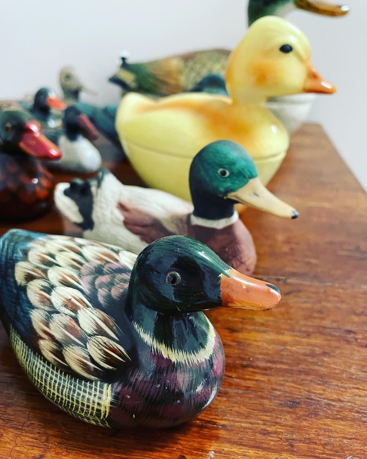 Duck collection