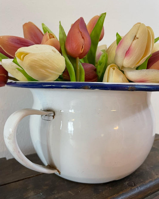 Enamelled chamber pot