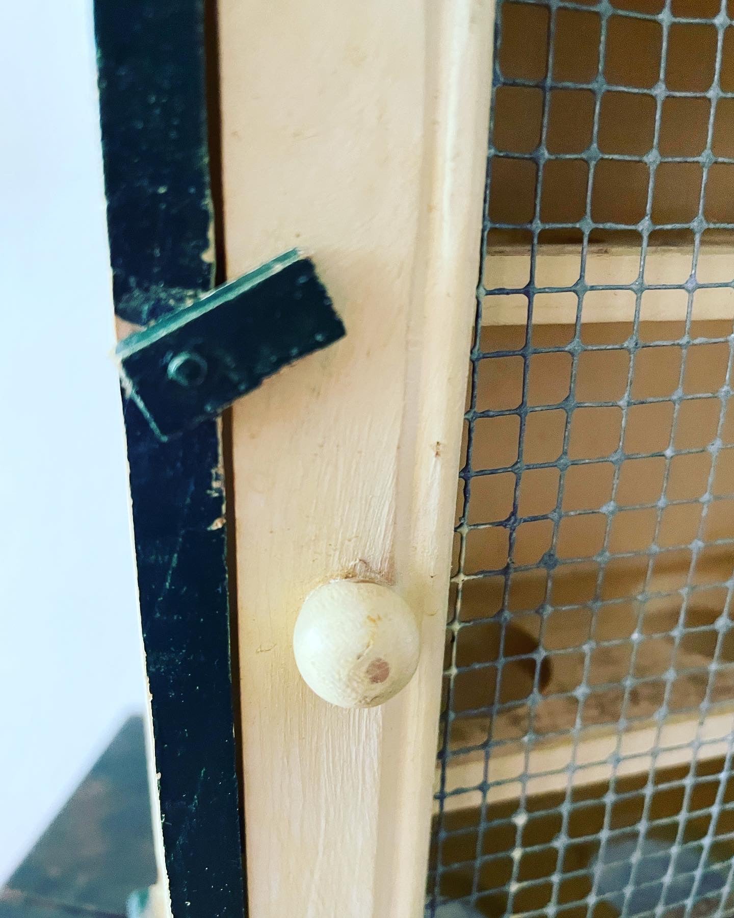 Egg holder cabinet