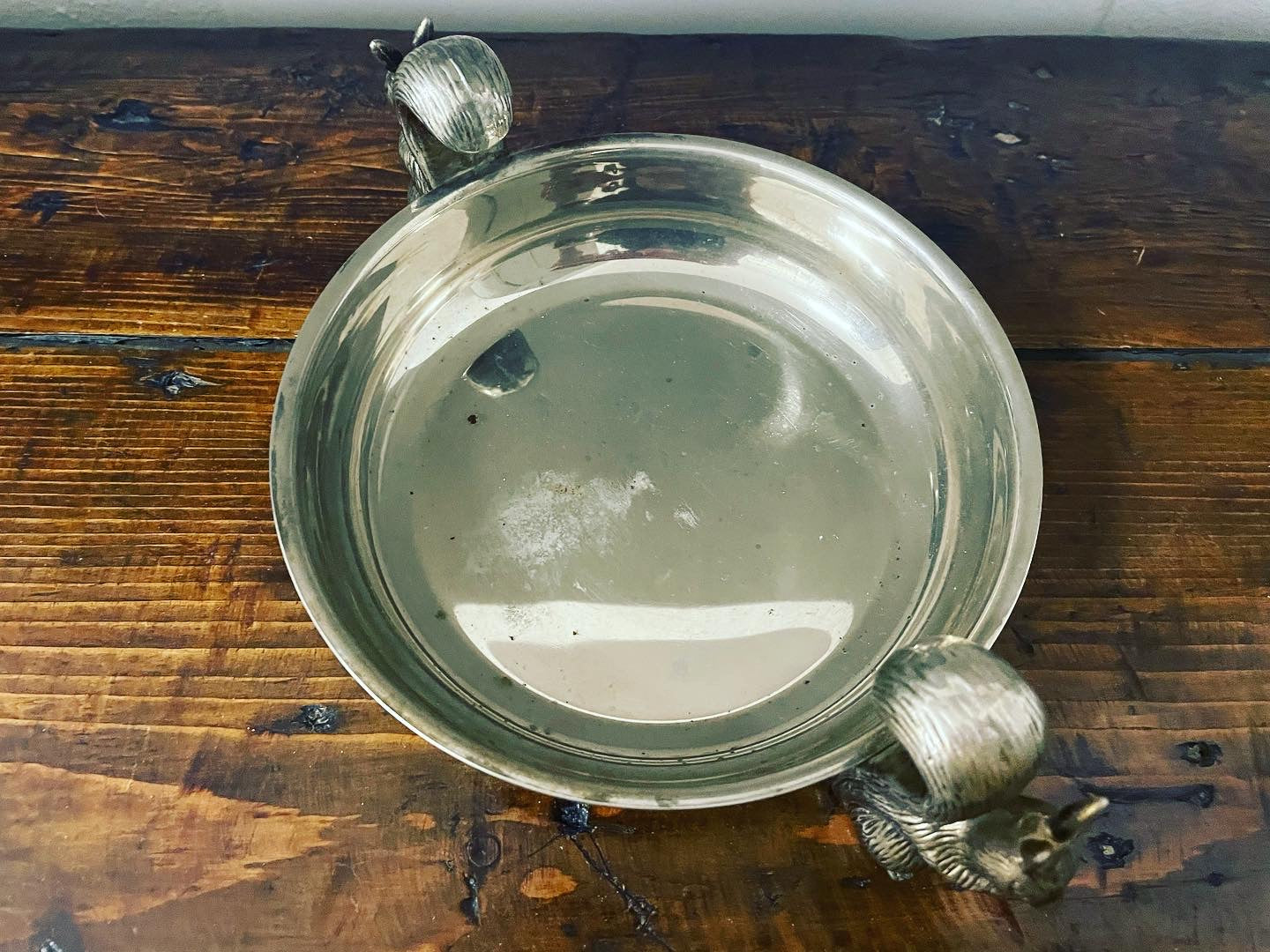 Squirrel bowl