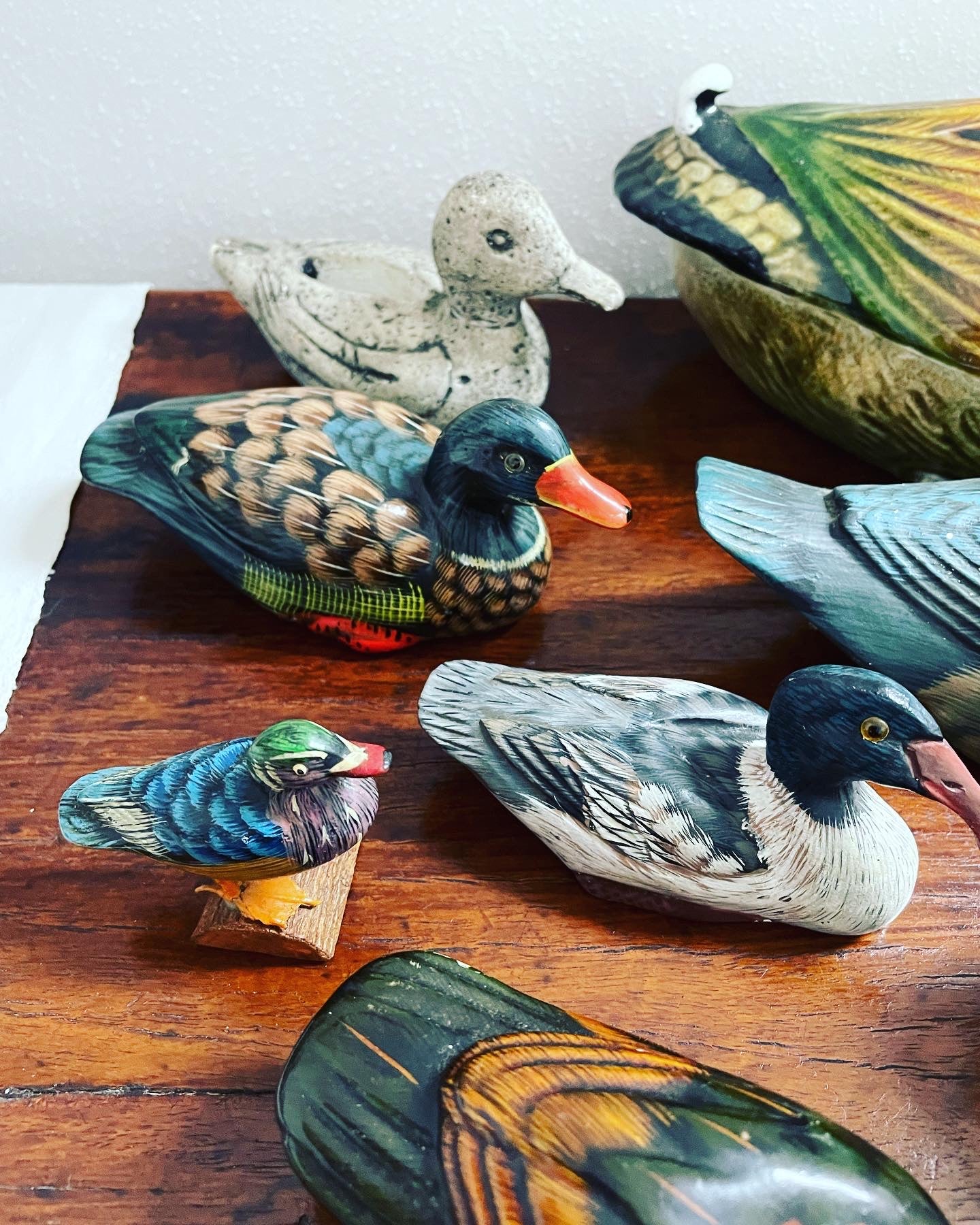 Duck collection