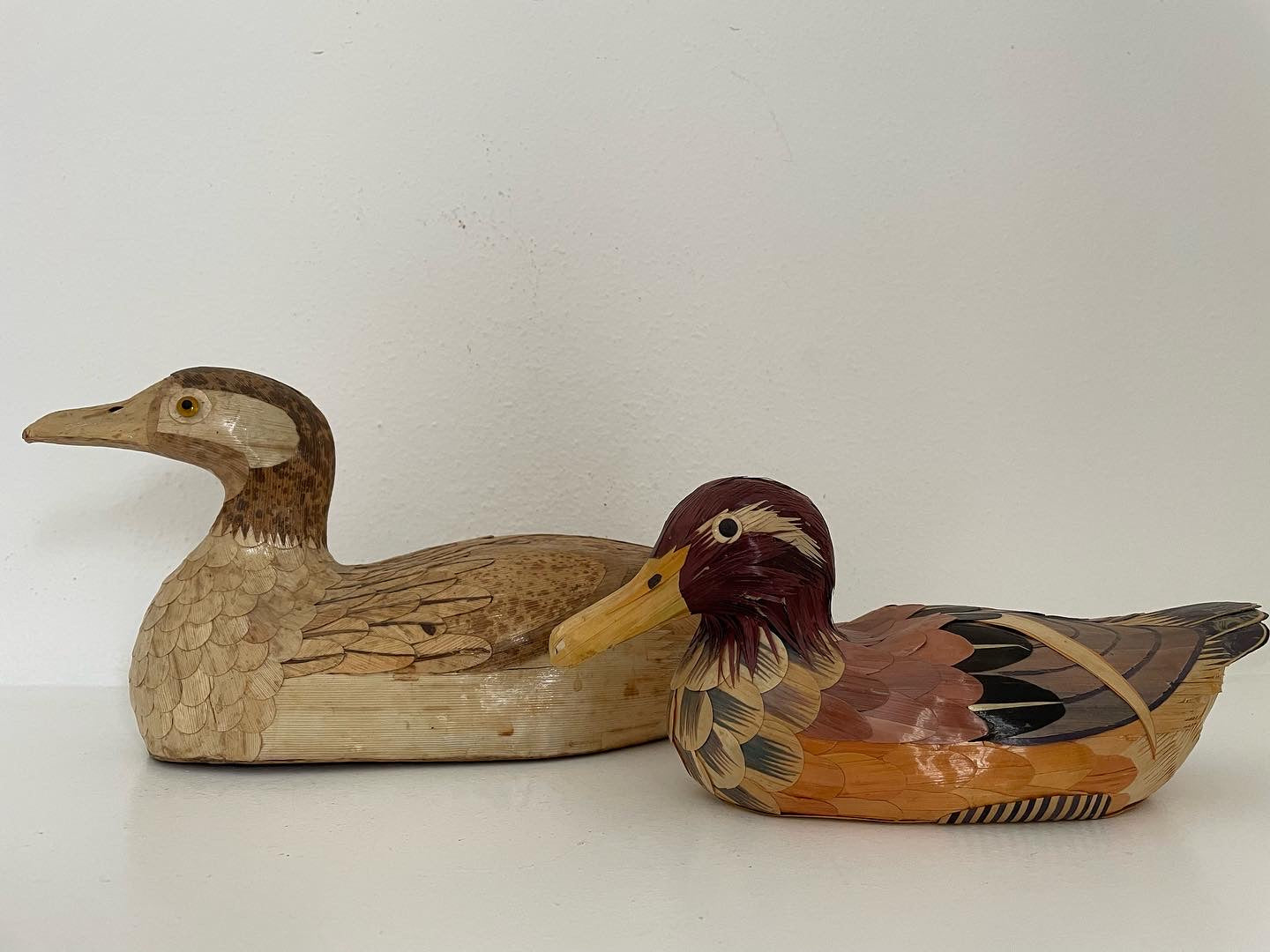 Decoy ducks